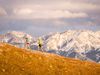 Run For The Hills And Become A Better Runner: Photo: Louis Arevalo | TandemStockThe secret to improving your r...